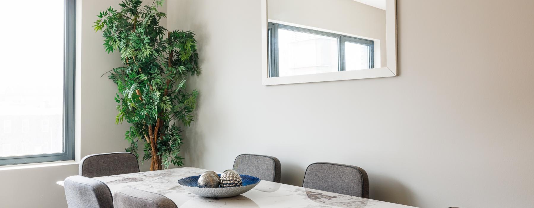 a dining table with chairs and a plant on it
